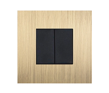 055_SS_Axia-EU_cover_plate_502_gold