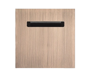 027_SS_Axia-BS_Card-Holder_ON_no_button_gold