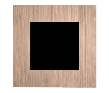 041_SS_Axia-BS_cover_plate_BS_gold.webp